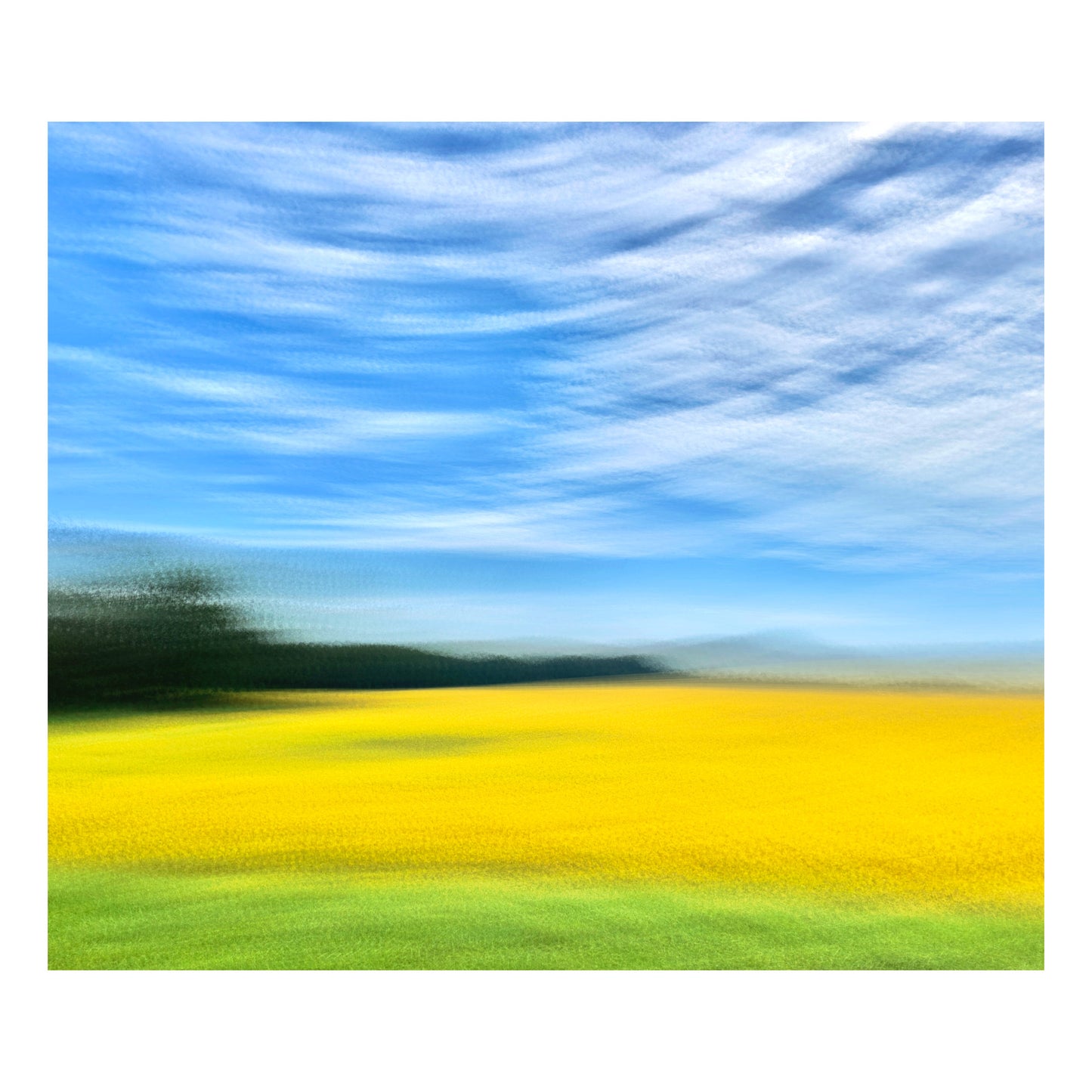 Eastern Shore Road 1