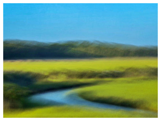 Blue & Green Wetlands